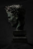 Buste de Napoléon en bronze de profil